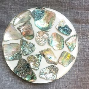 Vintage 60s 70s Abalone shell  8' trivet hotplate